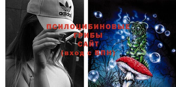 2c-b Костерёво