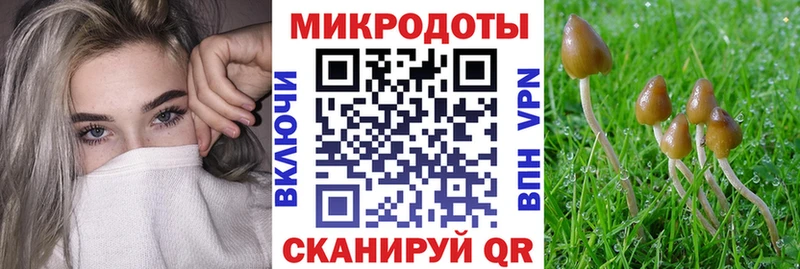 Купить закладки  Орск  Галлюциногенные грибы мицелий 